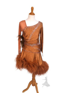 Feather Bronze Latin Dress
