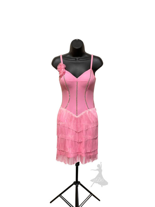 Pink Posies Latin Dress